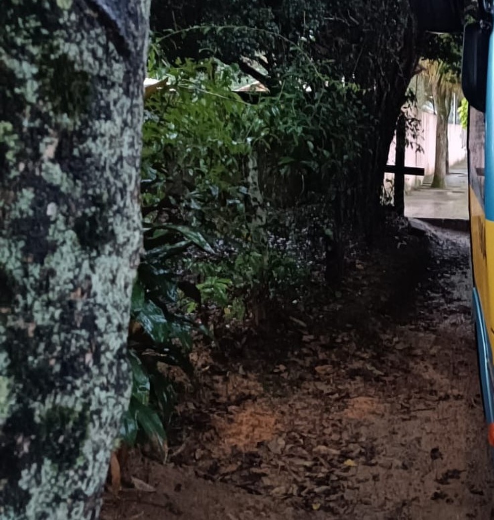 Jovem estupra a prima atrás de ônibus estacionado na rua e acaba preso, em Rio das Flores