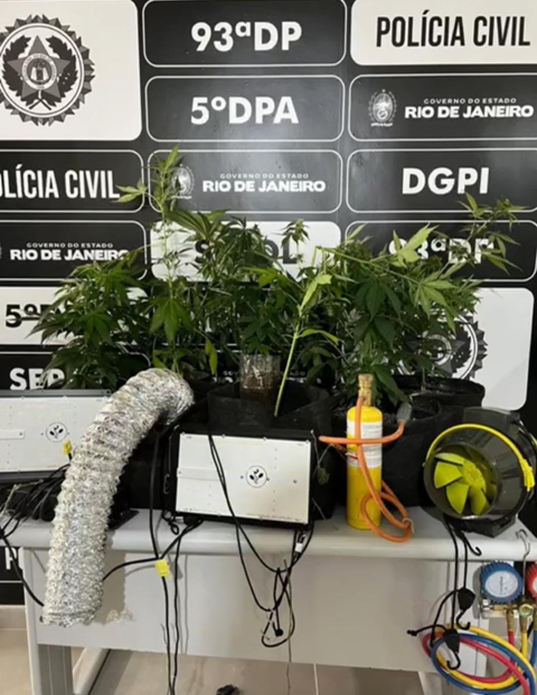 Polícia Civil descobre laboratório de produção de maconha na Vila, em Volta Redonda