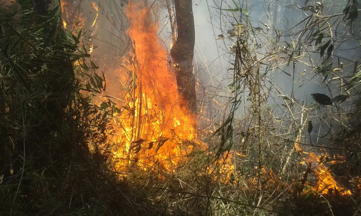 Justiça transforma em preventiva prisão de acusado de incêndio na Serra da Beleza, em Valença