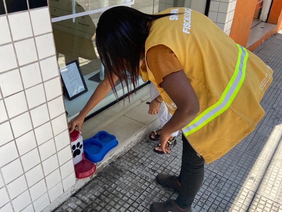 Prefeitura de Barra Mansa instala bebedouros para animais em diversos pontos da cidade